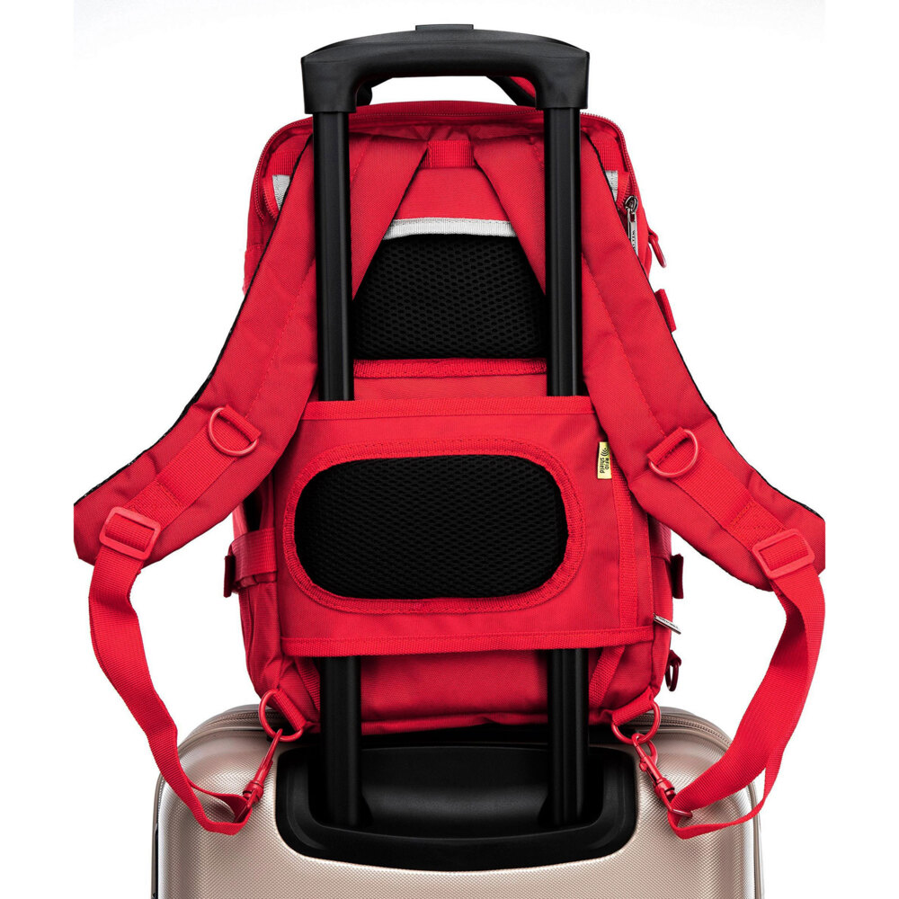 Plecak WITTCHEN bagaż podręczny 29-3P-000-36 -  Bordowy